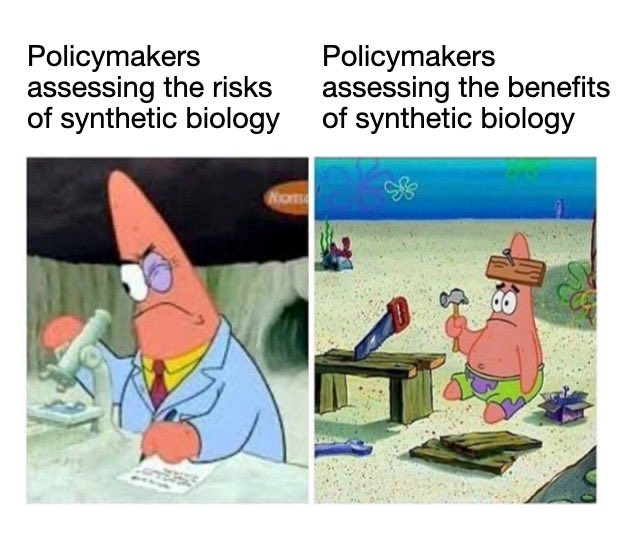 Jacopo Pasqualini tweet media