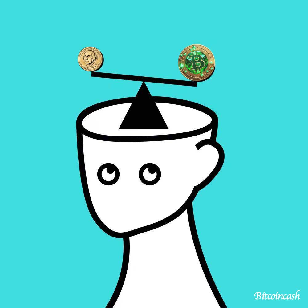 夏小栀 tweet media