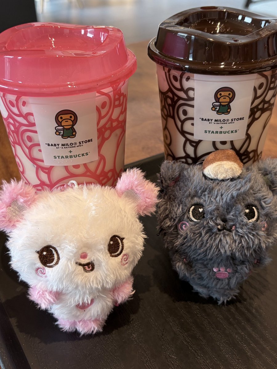 ֊ ̫ ֊ᶻᶻᶻ tweet media