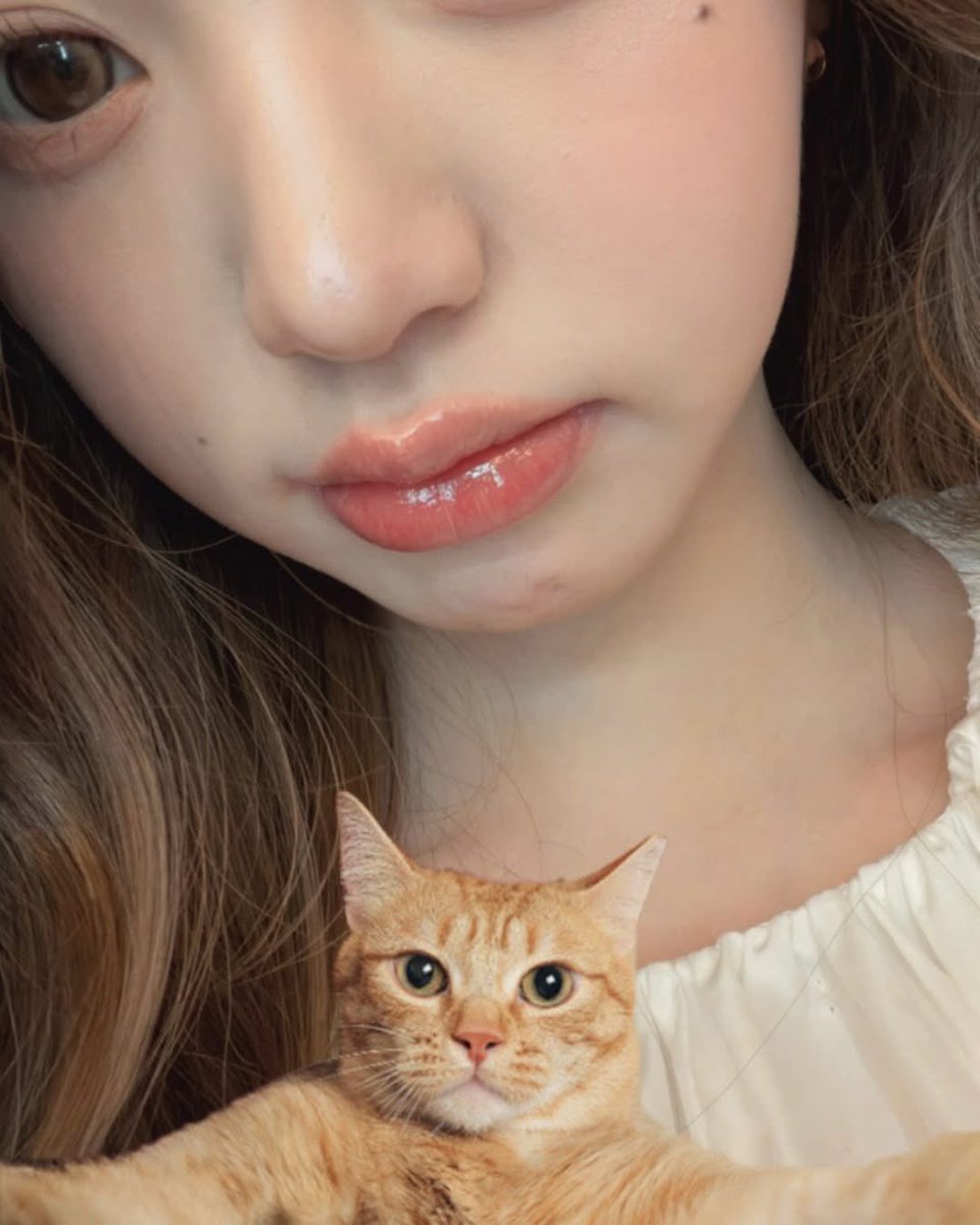 ive pics tweet media