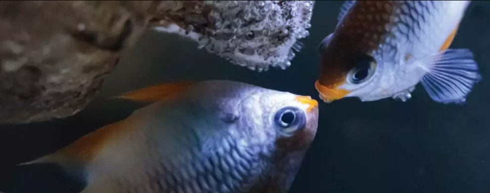 Hull Trains tweet media