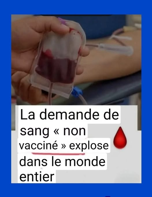 Anne cardynale ou @Bellinarg4 tweet media