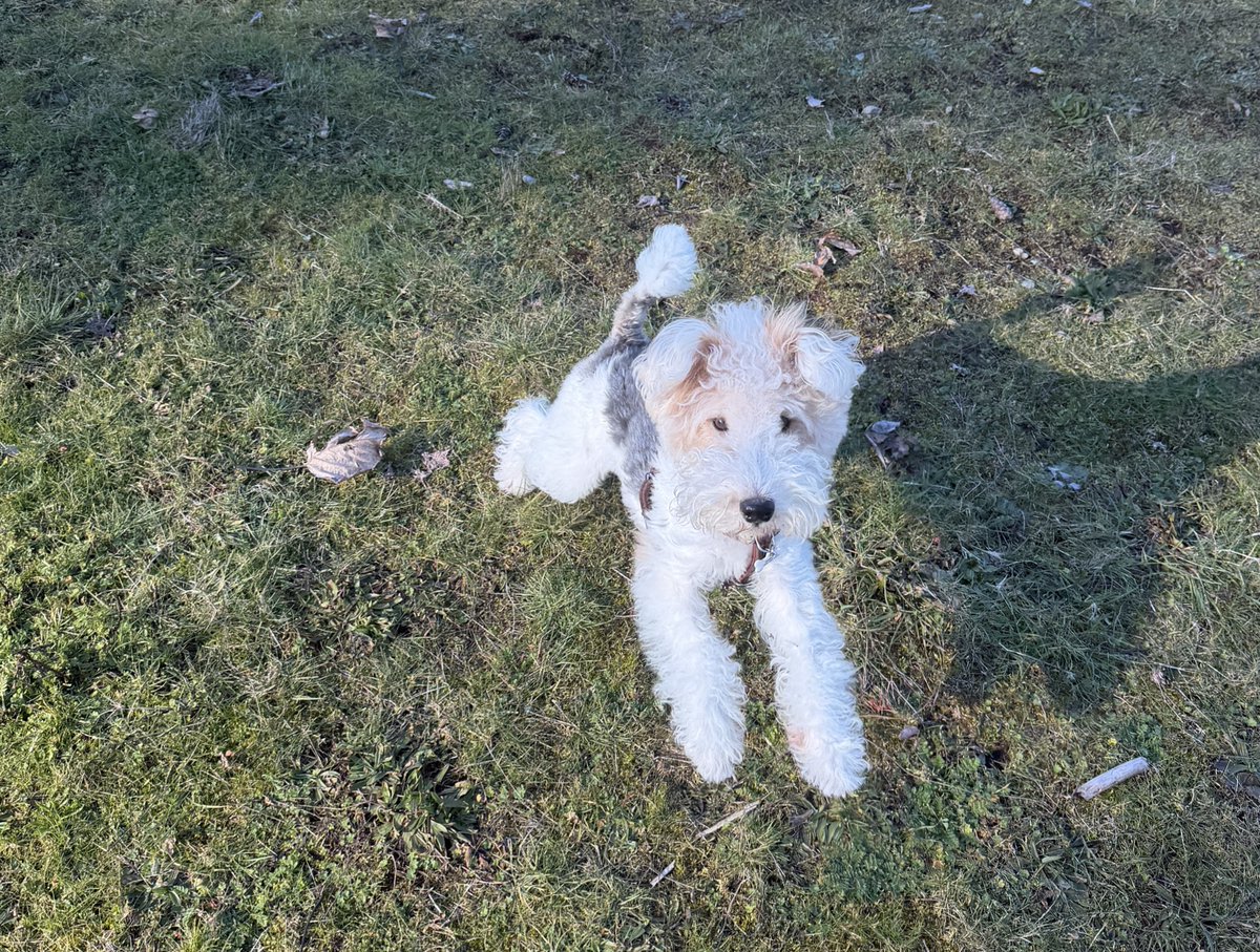 호밀빵의 파수꾼 tweet media