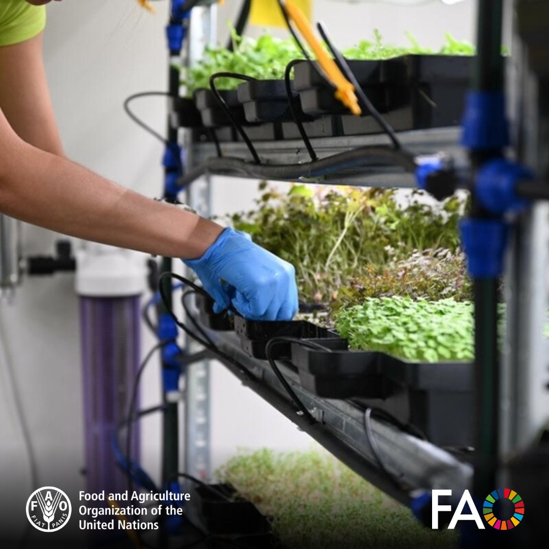 FAO AIMS tweet media