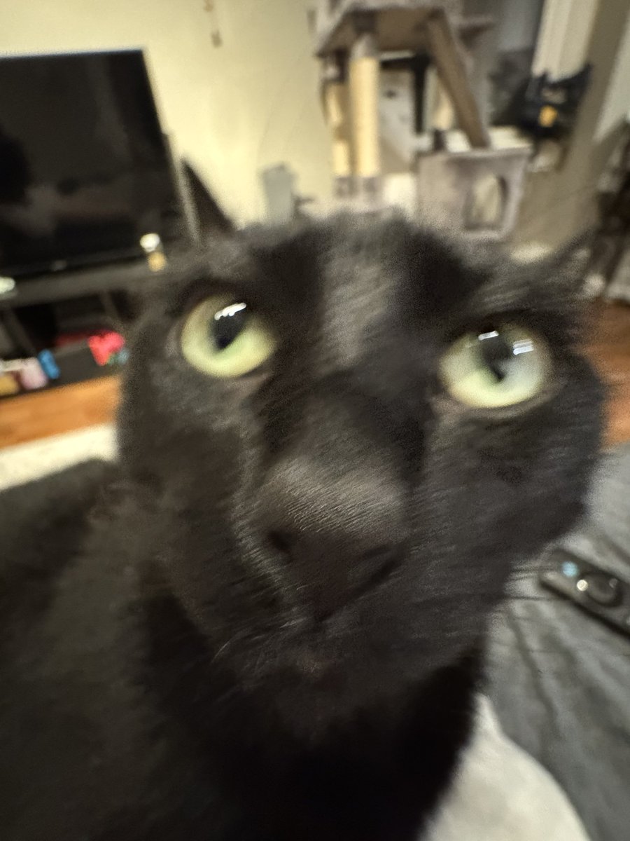 tinapiie's tweet photo. @Garrett_Watts this is goose https://t.co/AbiiyQCXtB