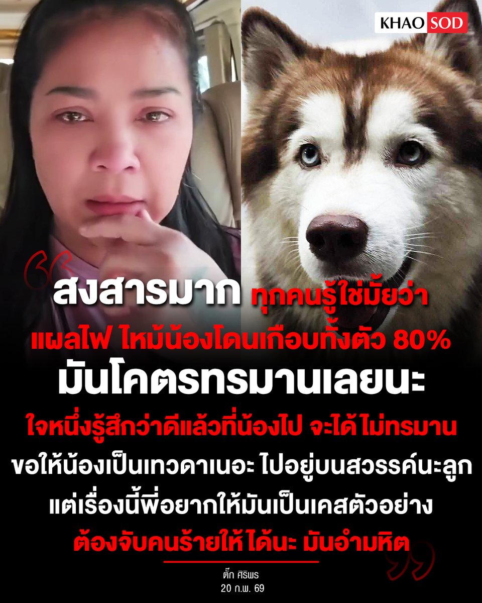 เจ็บปวดหัวใจ... “ตั๊ก ศิริพร” พูดทั้งน้ำตาหลัง ‘น้องมอลลี่’ สุนัขไซบีเรียน ถูกคนใจร้ายจุดไฟเผา ล่าสุดน้องกลับดาวหมาแล้ว

ลั่น “น้องมอลลี่ไปสวรรค์แล้วนะทุกคน สงสารมาก เห็นเป็นภาพวิดีโอ ตอนที่คนไปช่วย ไปเจอน้อง

...โห มันเหมือนกองอะไรที่โดนเผา แต่มันขยุกขยิกได้