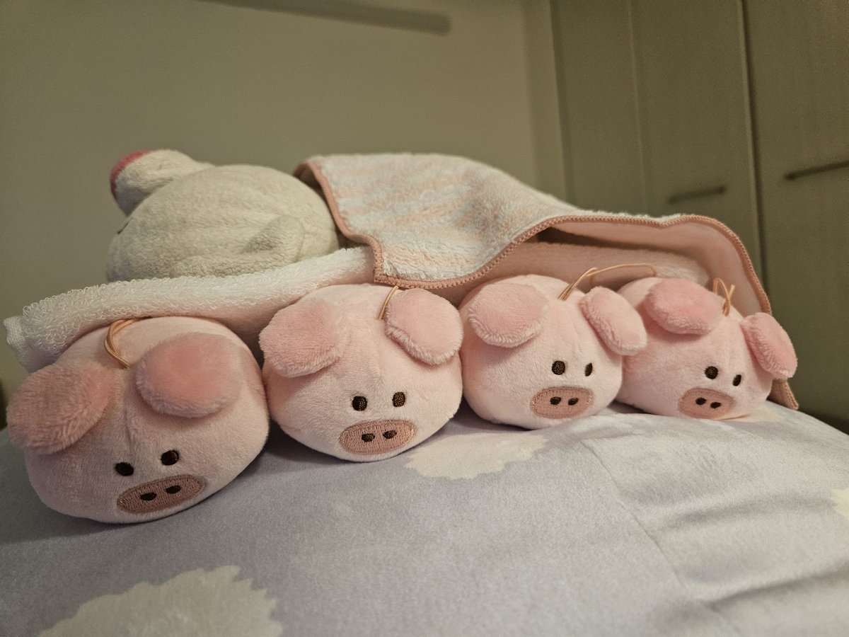 みんなでぽかぽかしてもらって！！かわいい🐷💕