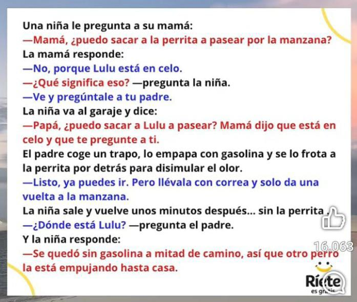 Alida Zavarce (@alidazavarce) on Twitter photo 