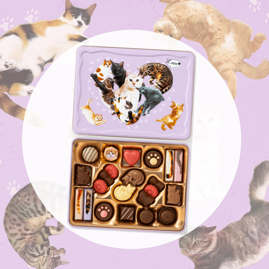 メリーチョコレートカムパニー【公式】 (@marychocolate_c) / Posts / X