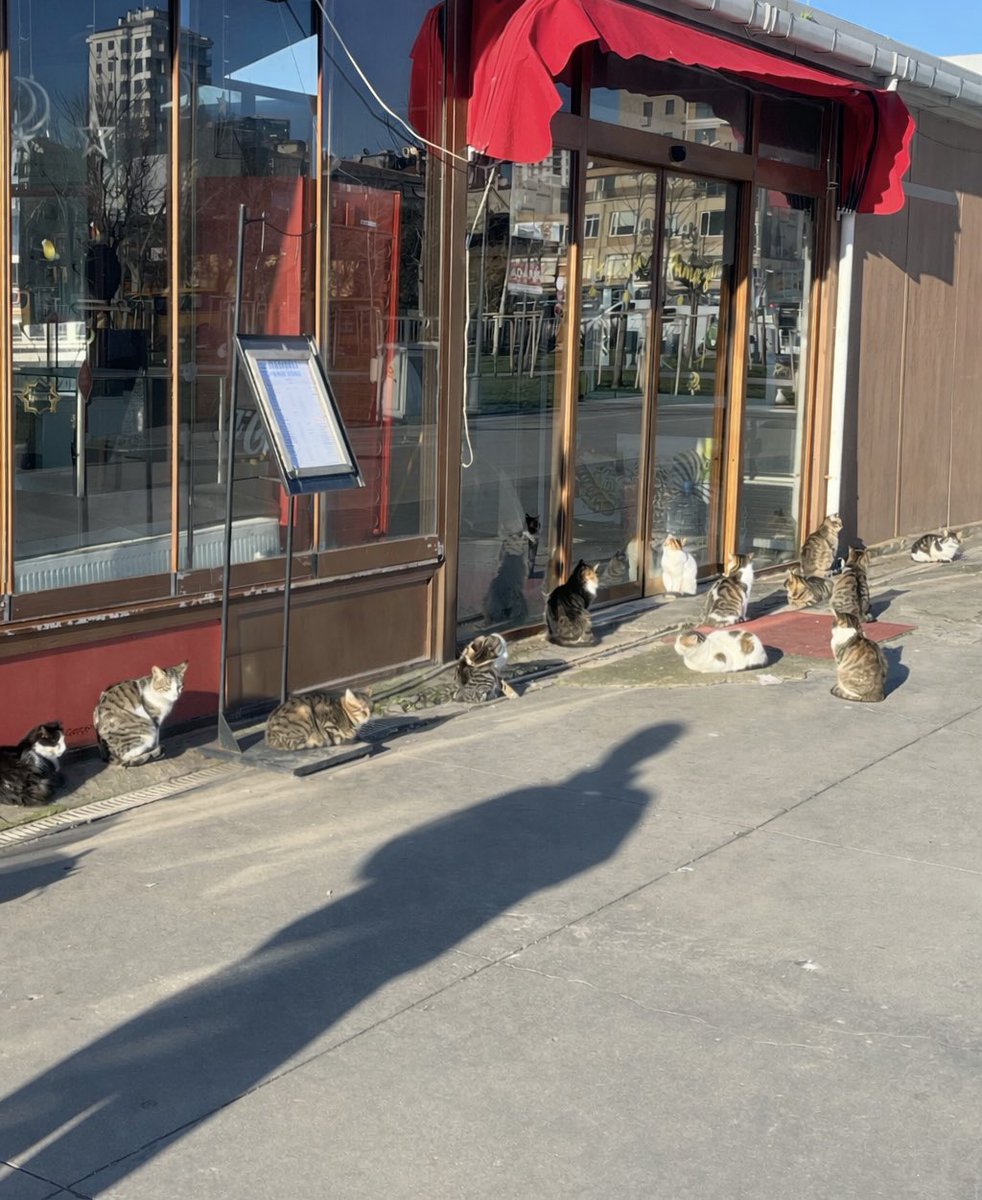 stopbydeniz's tweet image. 생선가게 역대급 오픈런 실화니?