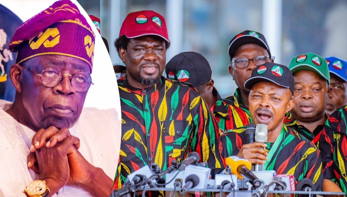 ARISE NEWS tweet media