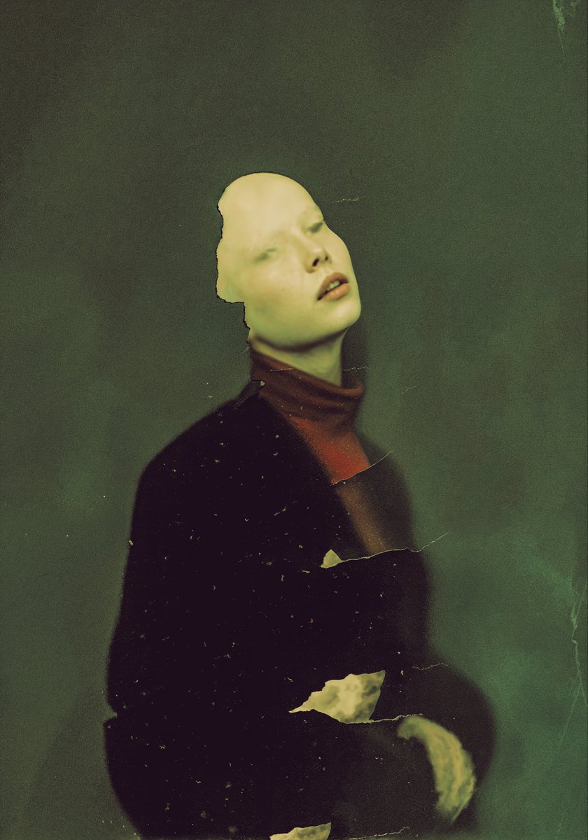 Drednaught0moto🇺🇸 tweet media