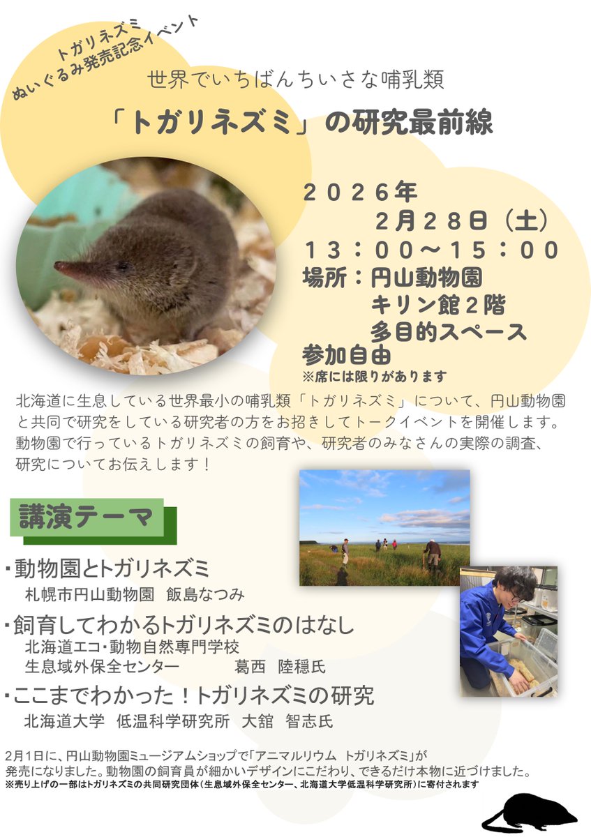 飼育員が監修した #ヒメトガリネズミ ぬいぐるみの発売に合わせて、2/28(土)の13時から、キリン館の2階にてトークイベント「世界で一番小さな哺乳類『トガリネズミ』の研究最前線」を開催します！参加は自由！
ぜひご参加ください。
city.sapporo.jp/zoo/04event/r8…

#円山動物園 #動物園 #札幌 #イベント