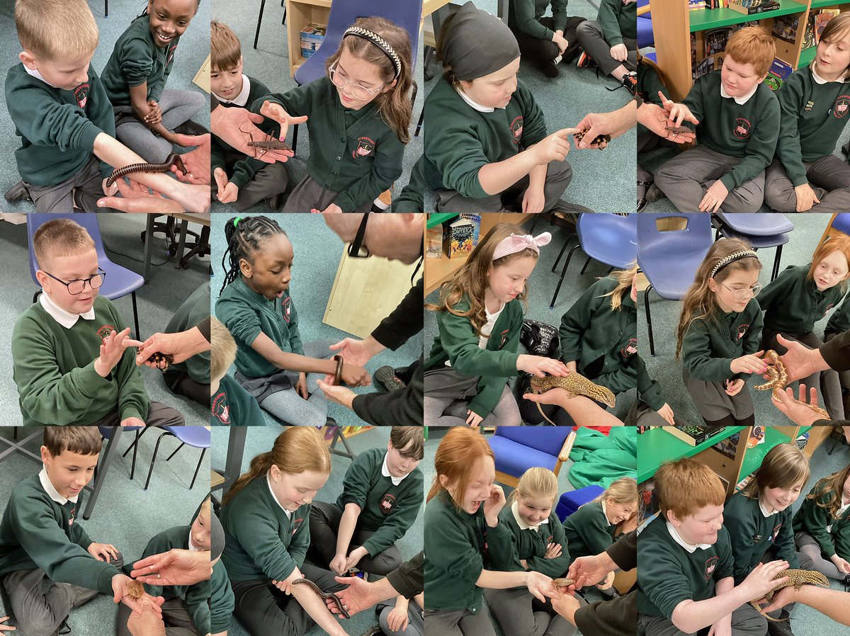 bugsnstuff.com tweet media