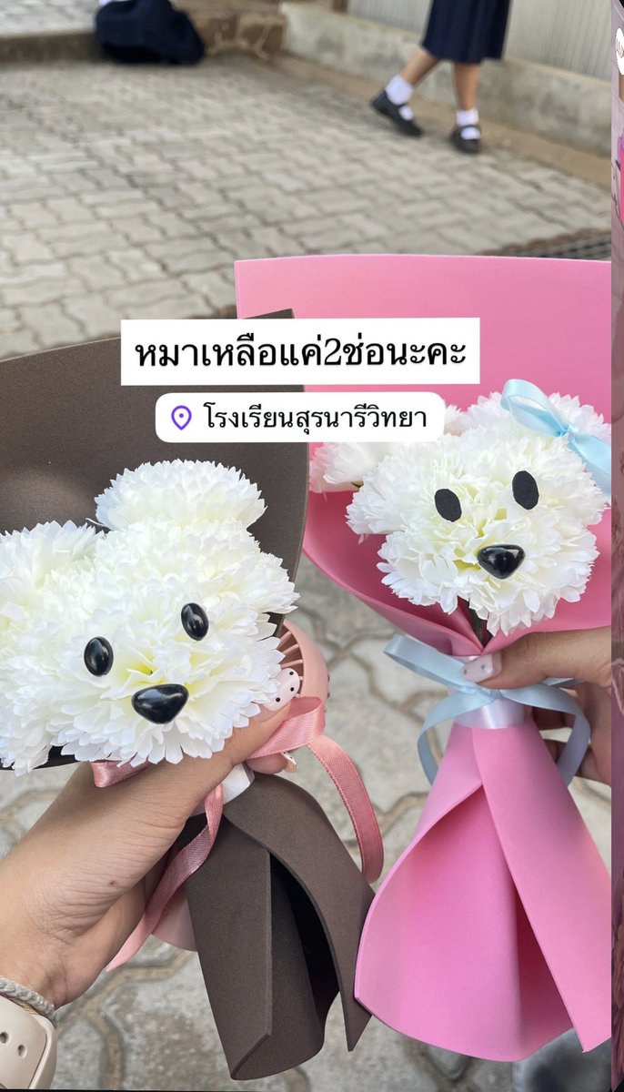rphathphr's tweet photo. #srnfact 
📍สนใจสอบถาม-สั่งซื้อ 
      Ig: hanaborrowed.bloom (https://t.co/OT2cbKhS1Z)
      TikTok : @hanaborrowed https://t.co/8u30F7lJUZ