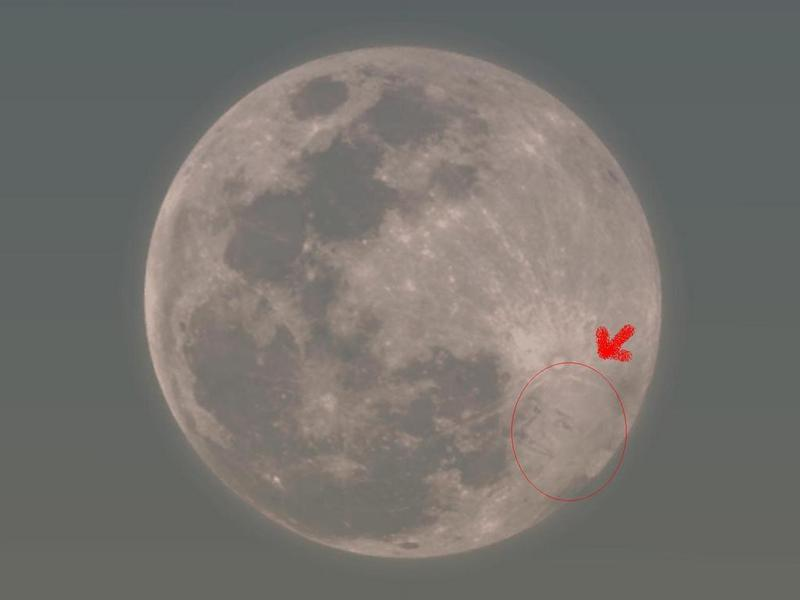 Skele™  @VRC ᯅ tweet media