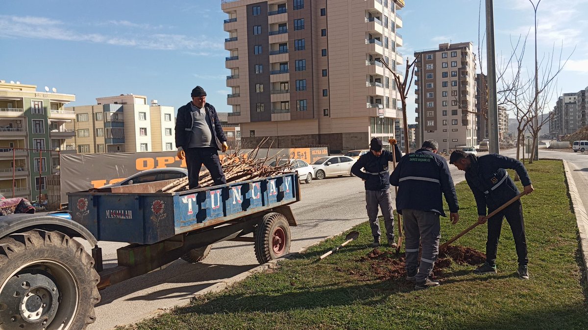 📍Fevzi Çakmak Bulvarı ❤️

Park ve Bahçeler Dairesi  Başkanlığına bağlı ekiplerimiz;👷🚧👷

 Ağaç dikimi çalışmalarını hız kesmeden sürdürmektedir.🌲

#YeşilŞehirŞanlıurfa 

<a href="/sanliurfabld/">Şanlıurfa Büyükşehir 🇹🇷</a> 
<a href="/MithatCanKutluc/">Mithat Can KUTLUCA</a> 
<a href="/halilaldeniz_/">Halil Aldeniz</a> 
<a href="/Tuba_Yaygin/">Tuba Yaygın</a> 
<a href="/sukrukaracads/">şükrü karaca</a> 
<a href="/musadokuz_/">Musa dokuz</a>