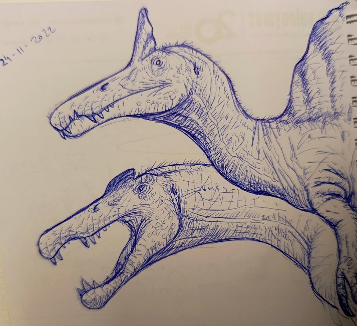 I've been keeping this doodle in secret for years... Now it's time. Welcome, Spinosaurus mirabilis