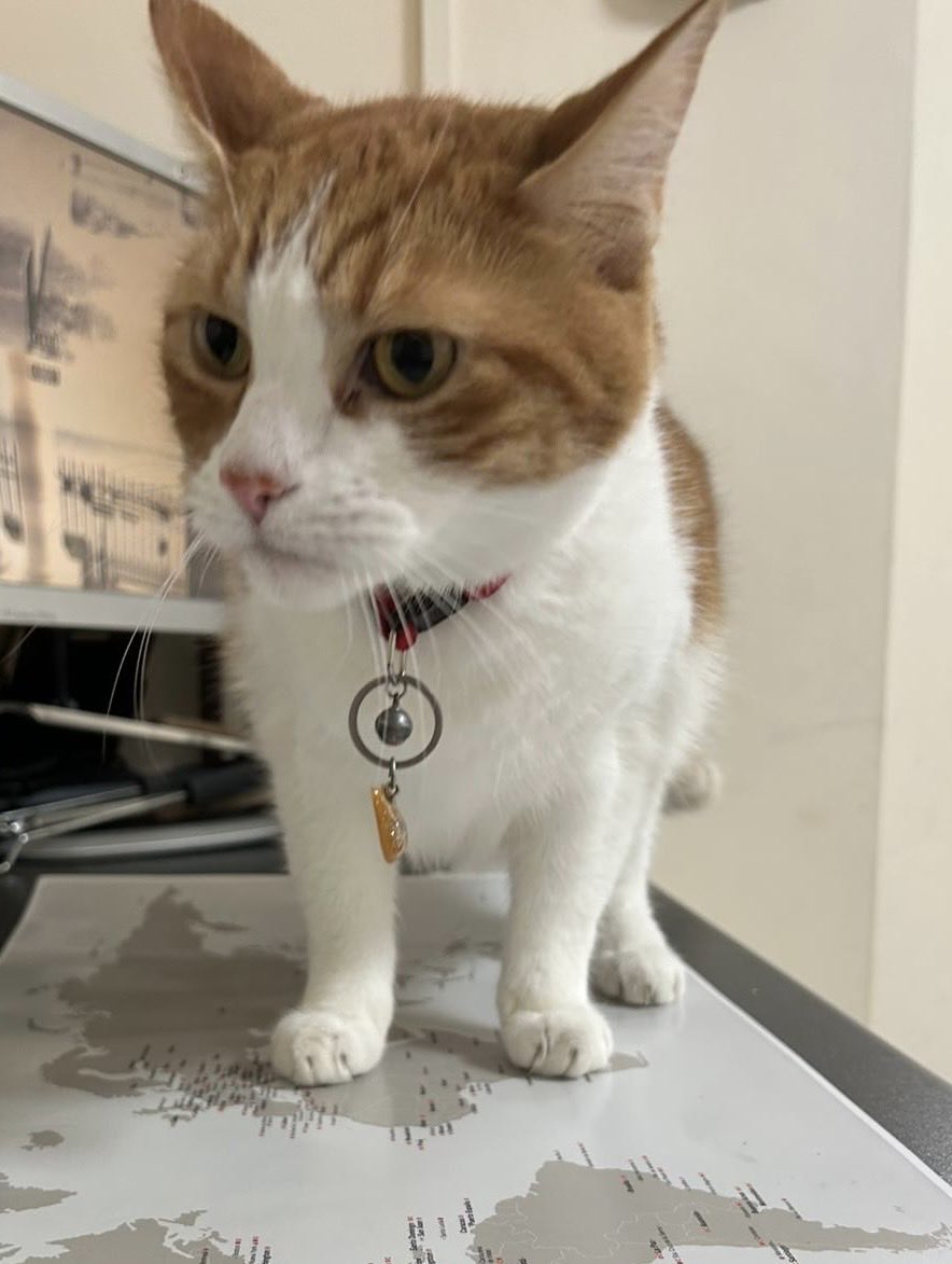 Embassy of Spain UK tweet media