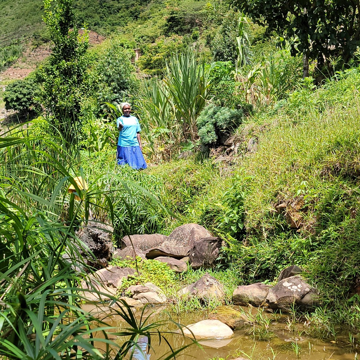 TSURO Trust tweet media