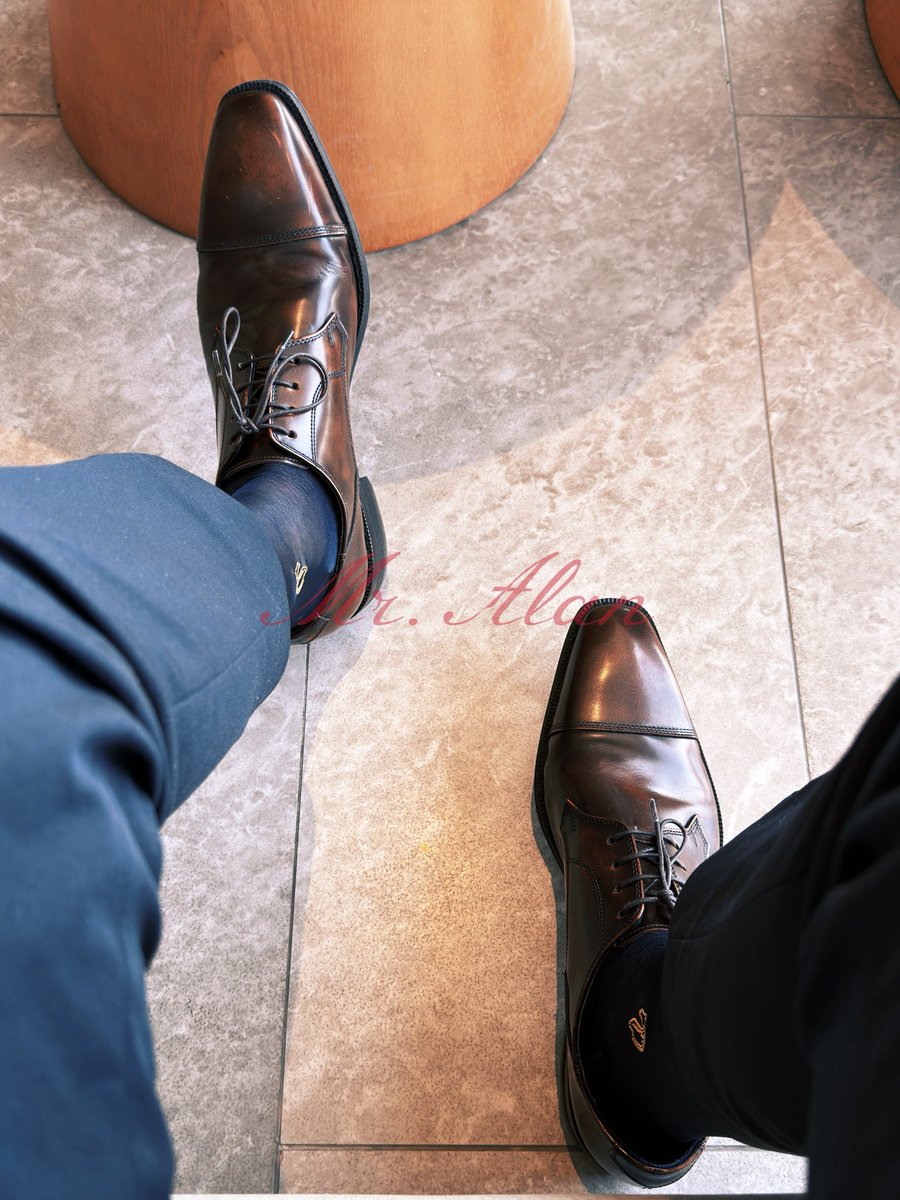 AlanverS tweet media