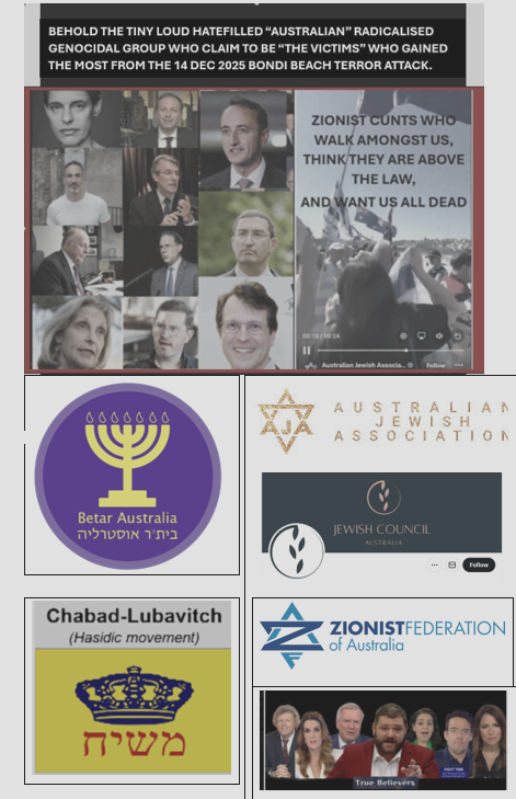 Israeled @susanabulhawa yep 🇦🇺 fed + state govts + courts have been ISRAELED ...
