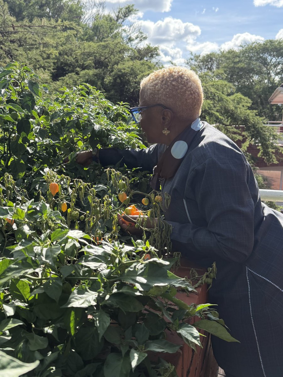 Barbara Tulu Clemens tweet media