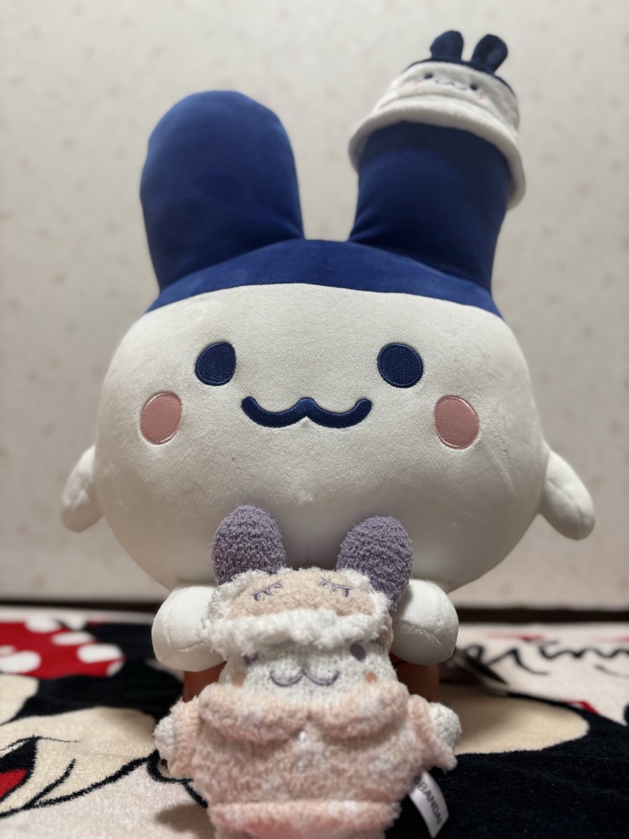 みみっちといっしょ (@RGY26lyQYP16078) / Posts / X