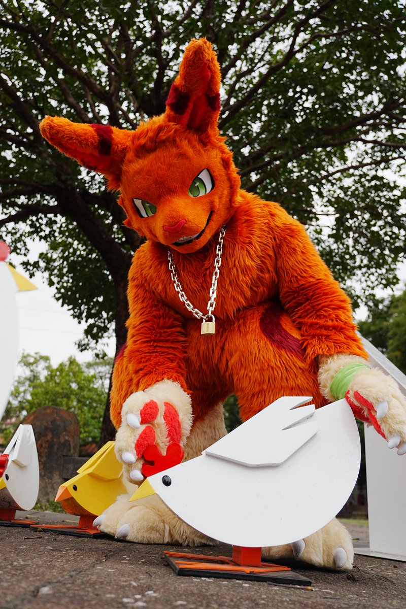 料料&柑焙🇹🇼➡️ UTFG2026 tweet media