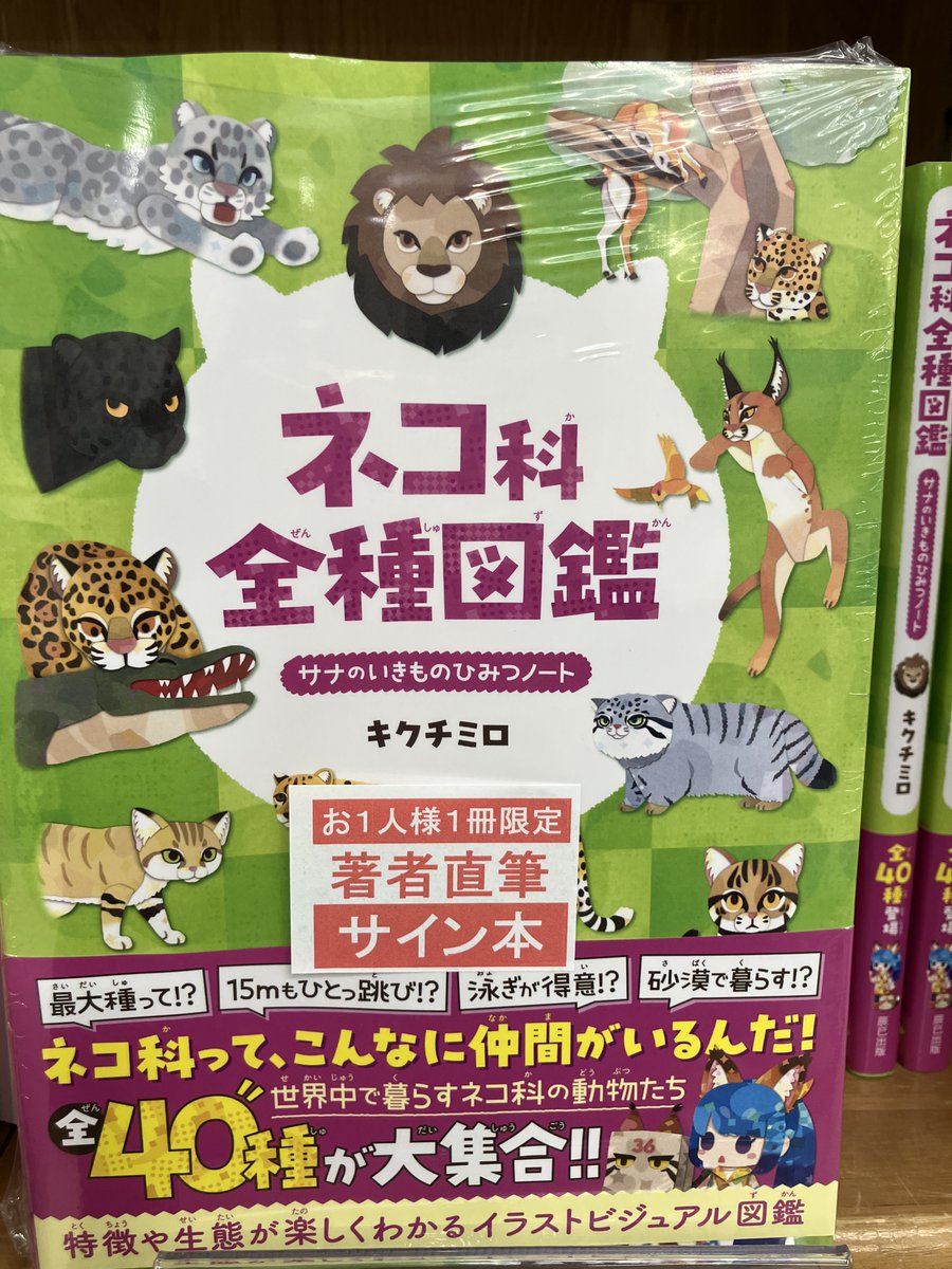 新刊+サイン本入荷】 『ネコ科全種図鑑』キクチミロ 著(辰巳出版