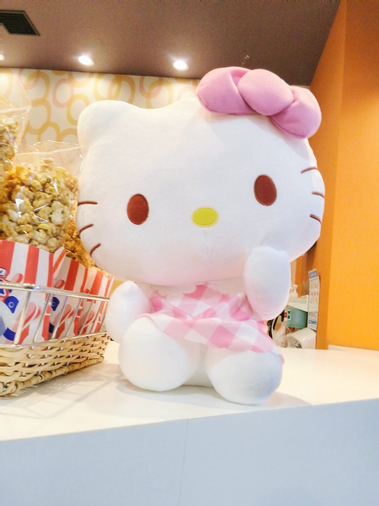 キティ ちゃんのピンクチェックぬいぐるみ🎀 今日入ったばかりのキティ