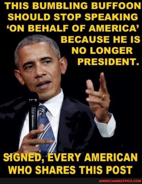 dmurphyshawn31's tweet image. #bumbling #buffoon #should 
americasbestpics.com/picture/1xW87U…
#AmericasBestPicsAndVideos