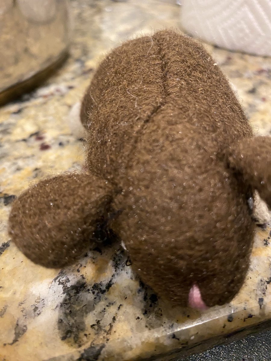 Frank Conniff tweet media