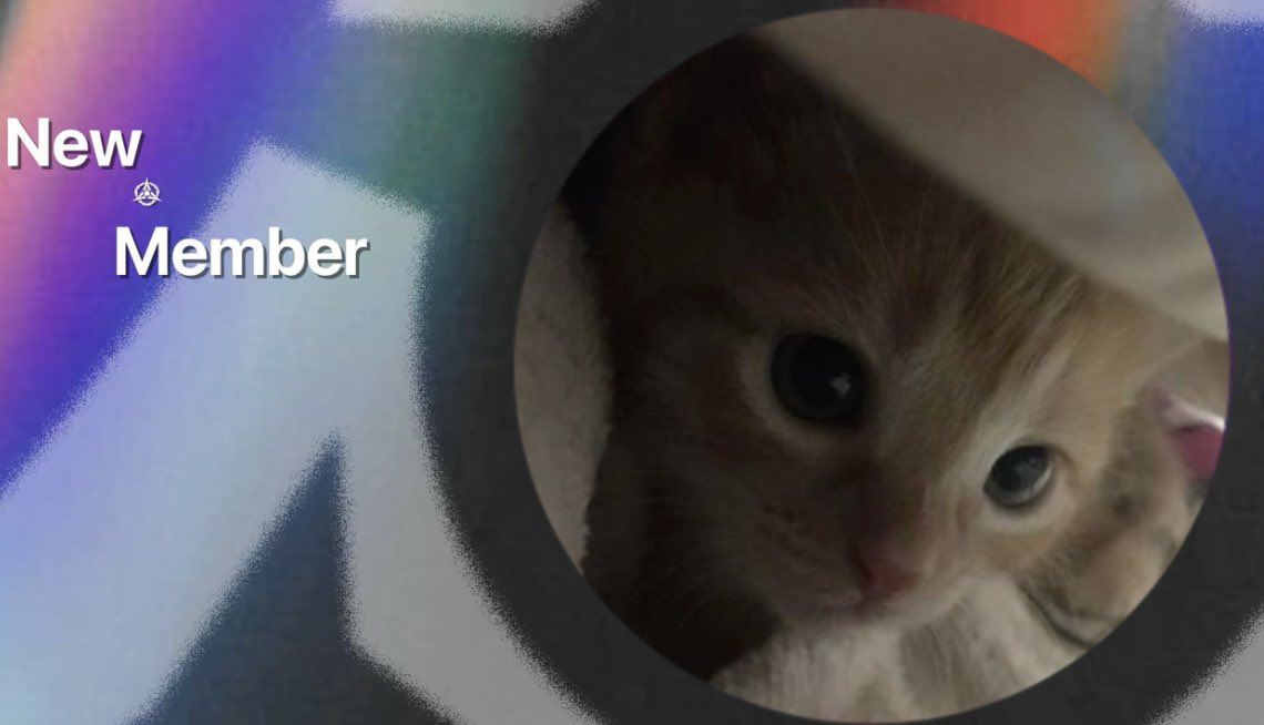 【💅🏻メンバー加入のお知らせ💅🏻】
競技部門
<a href="/nidansan2525/">にだんさん（koyotaの弟）</a> 
育成部門
<a href="/qxlxvz/">あおねこ</a> 
<a href="/Ryuiuj/">200IQ Ryu</a> 

よろしくお願いします！期待しています