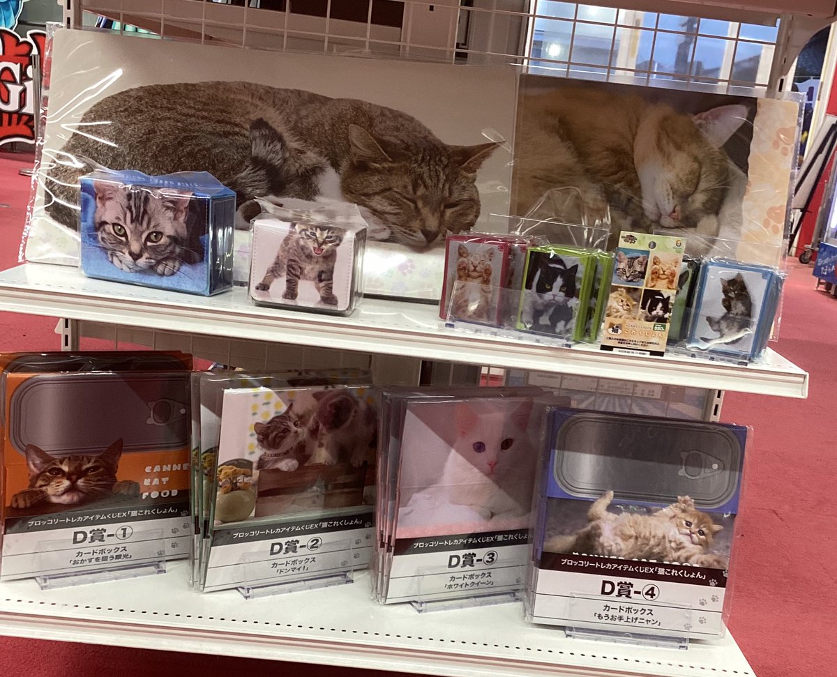 🍀︎くじ情報🍀︎ #トレカアイテムくじ 『🐱 #猫これくしょん🐱』 A賞