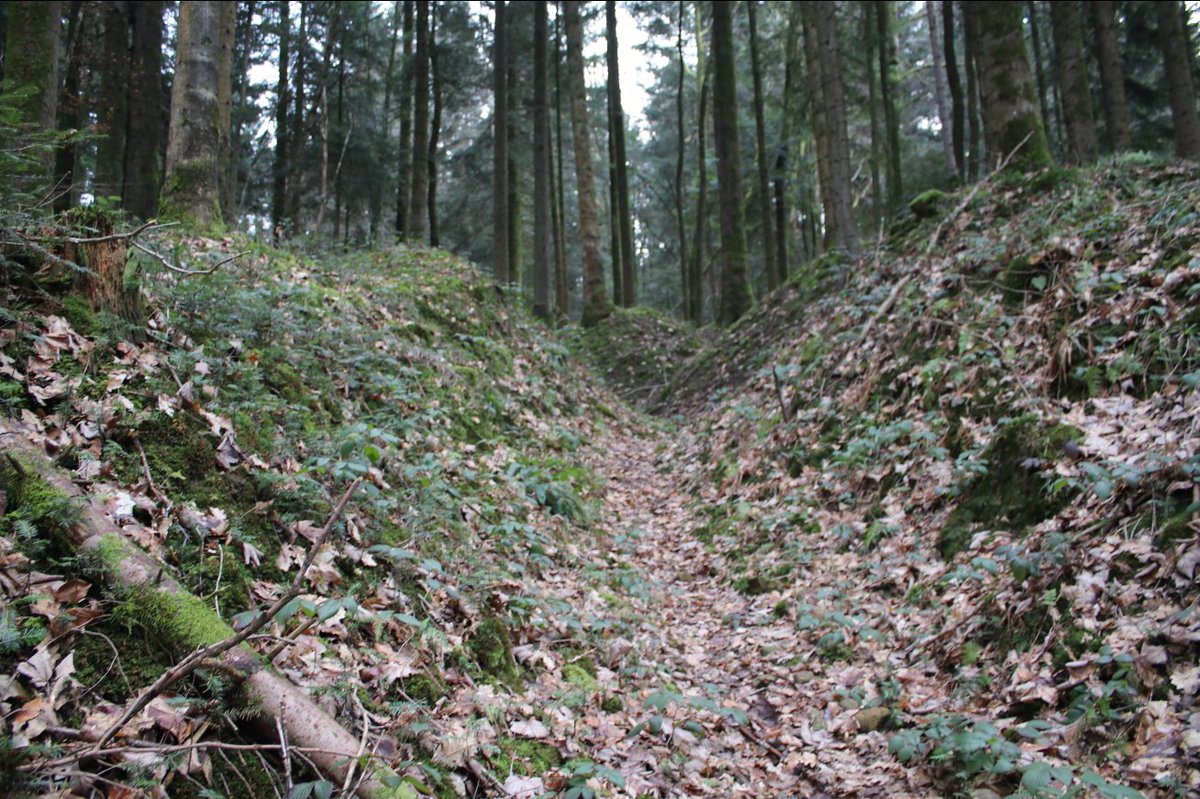 Discovering the frontline and beyond. tweet media