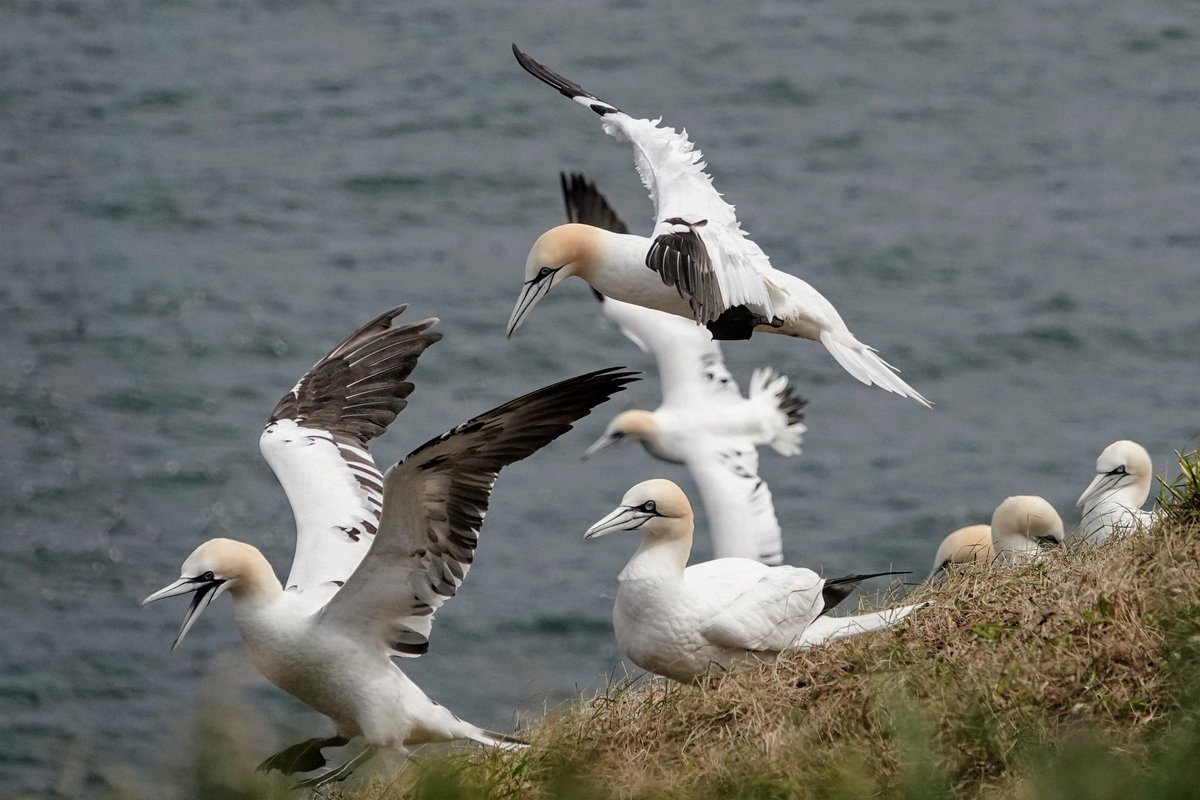 Good Morning 😊 It's not raining but don't despair I'm sure it will. Have a Fantastic #FlyDay