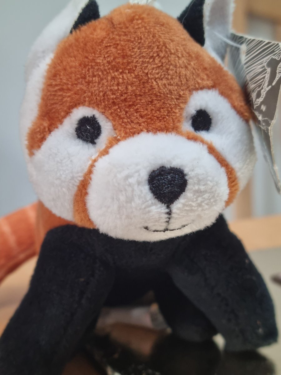 ToyBox Project tweet media