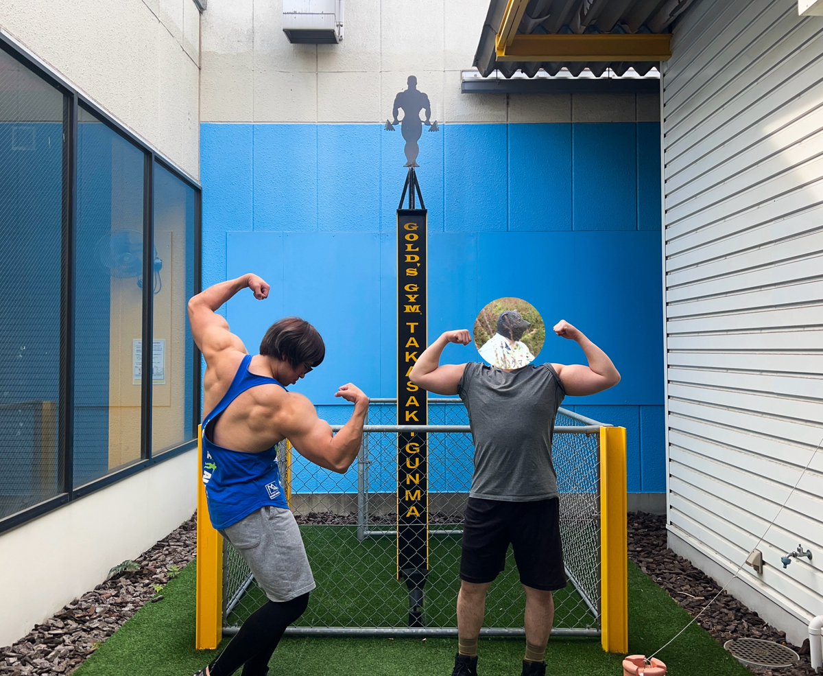 あおぎりリスナーとホロリスの異文化合トレ🏋️