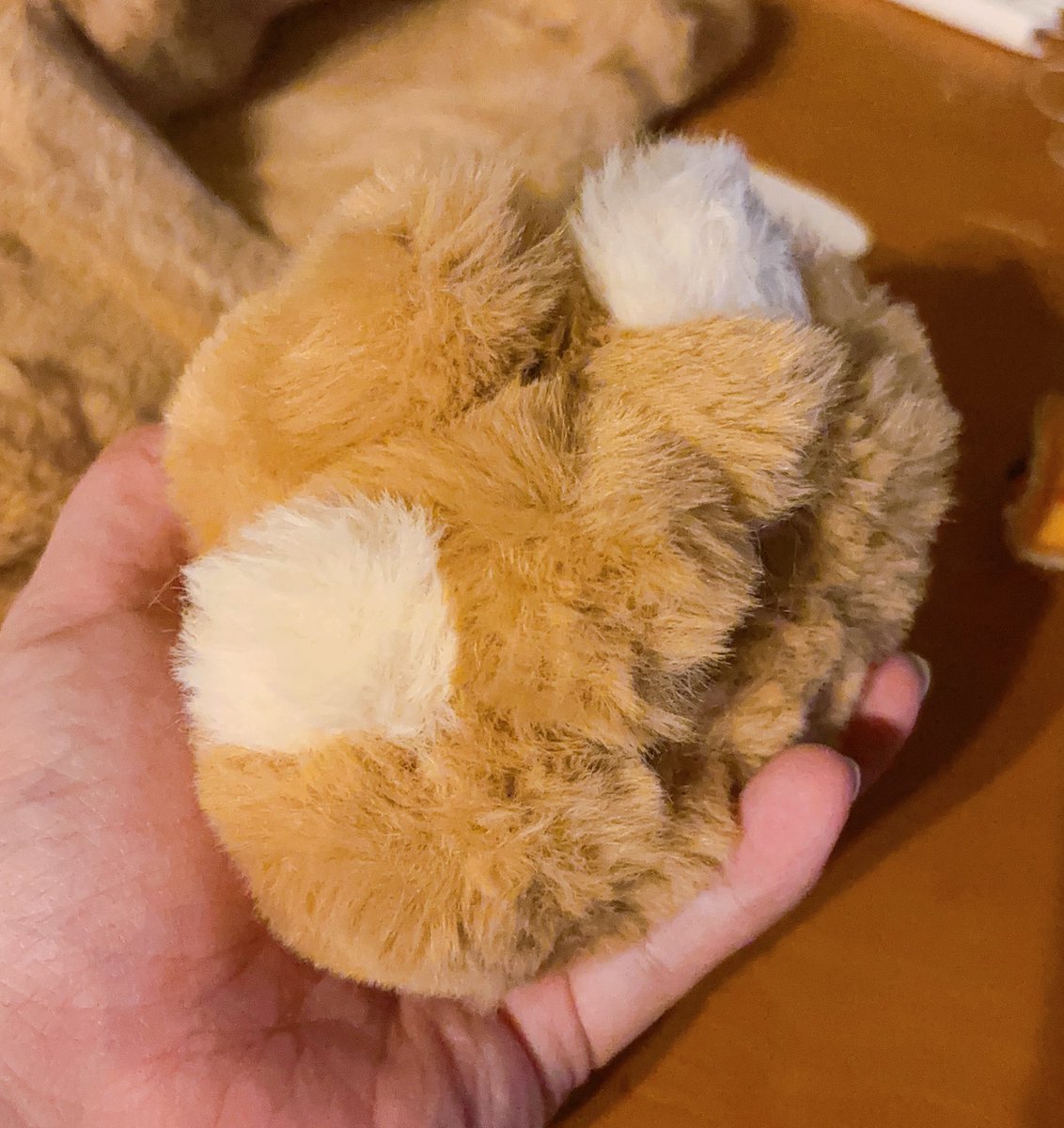 ケモノの子 (@Gavu1031) / Posts / X