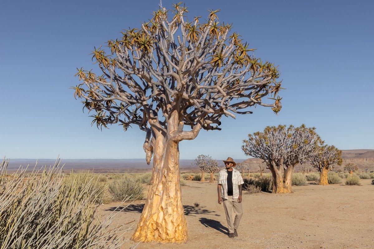 Tebogo Pin-Pin tweet media