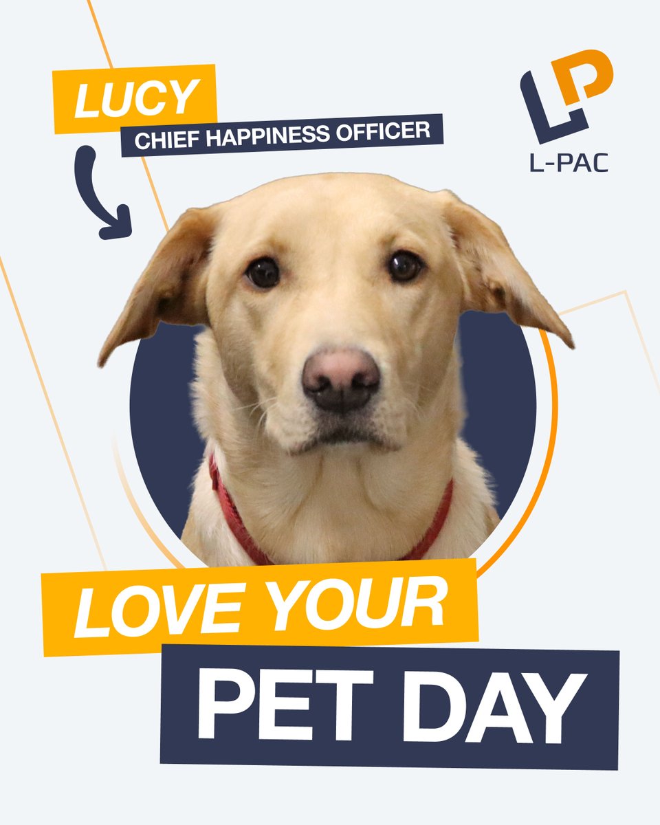 LPACpackaging's tweet image. This #LoveYourPetDay, we're shouting out our most hard-working, loyal employee who goes above and beyond every day... Our Head of TransPAWtation, Lucy!

Join us as we show Lucy a little love on this very important day.

#OfficeDogs #DurhamBusiness #LPAC