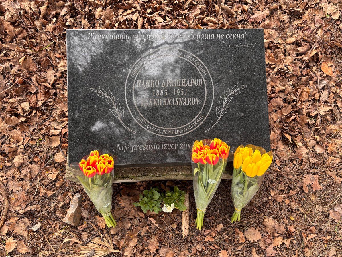 Даниела Димовска / Daniela Dimovska tweet media