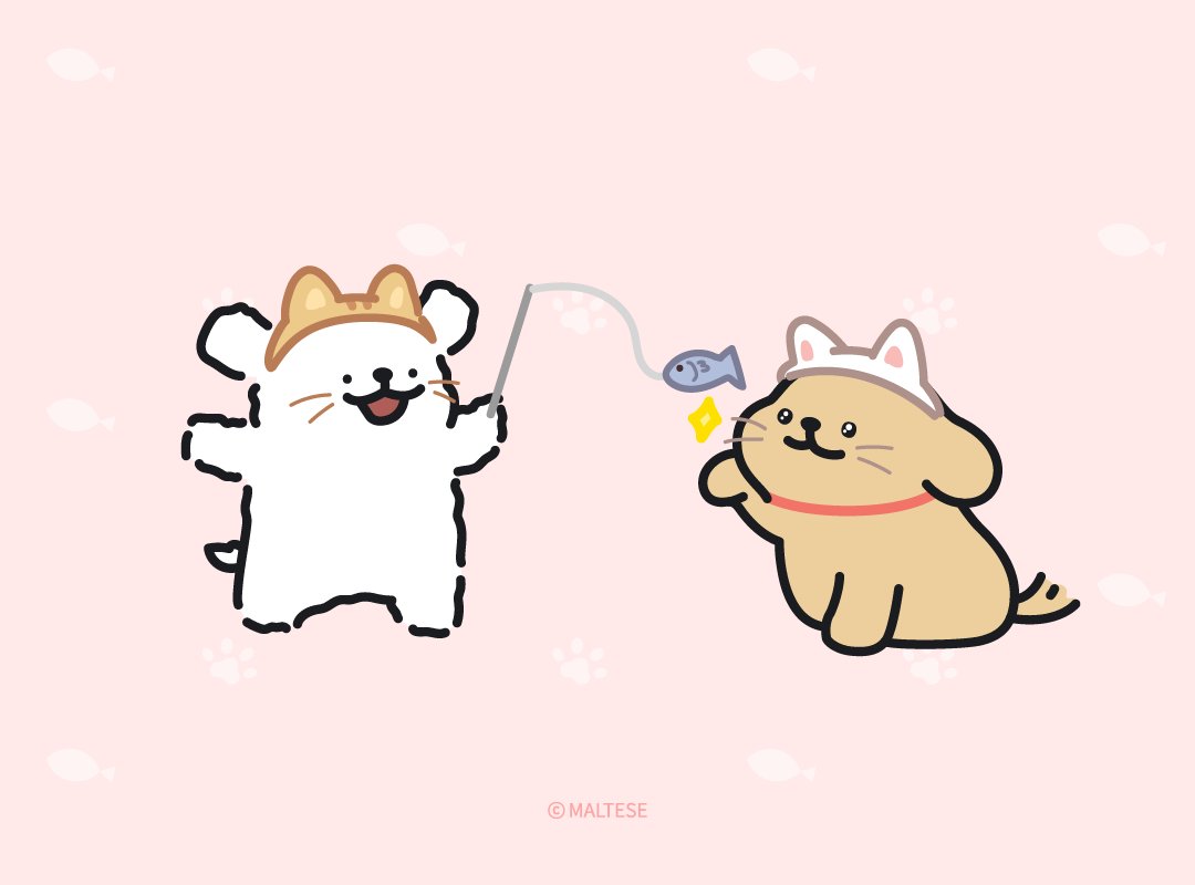 にゃー🎣(=^ェ^=)
＃猫の日