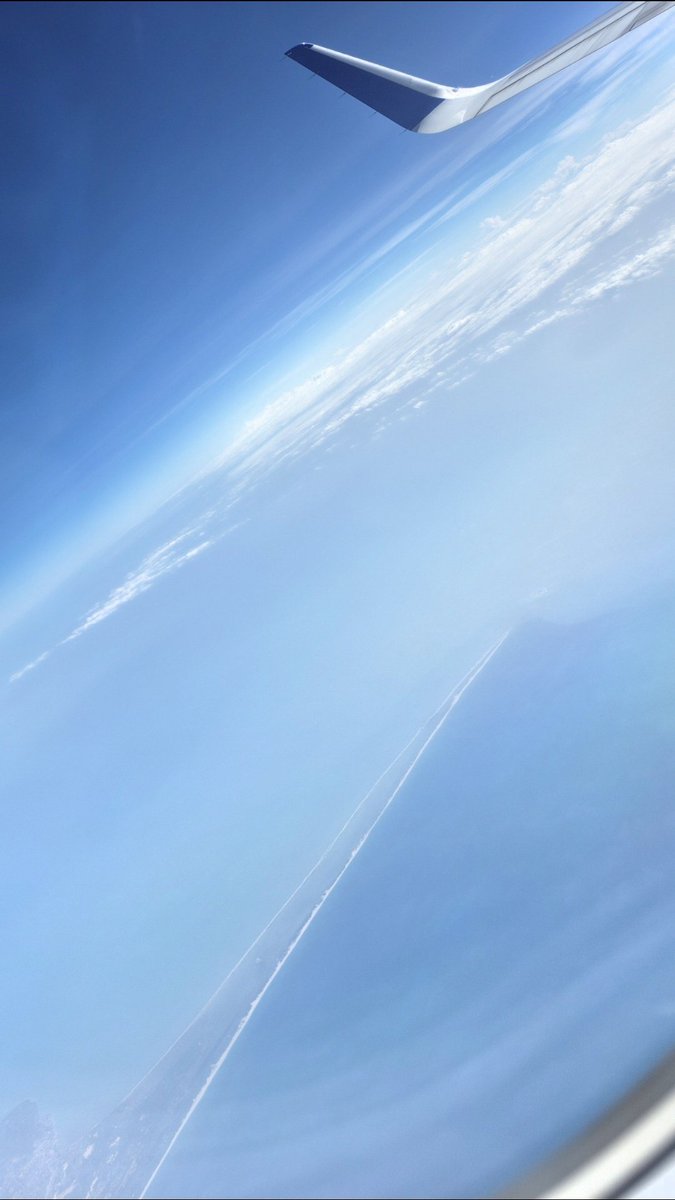 acnymph's tweet image. ✈️