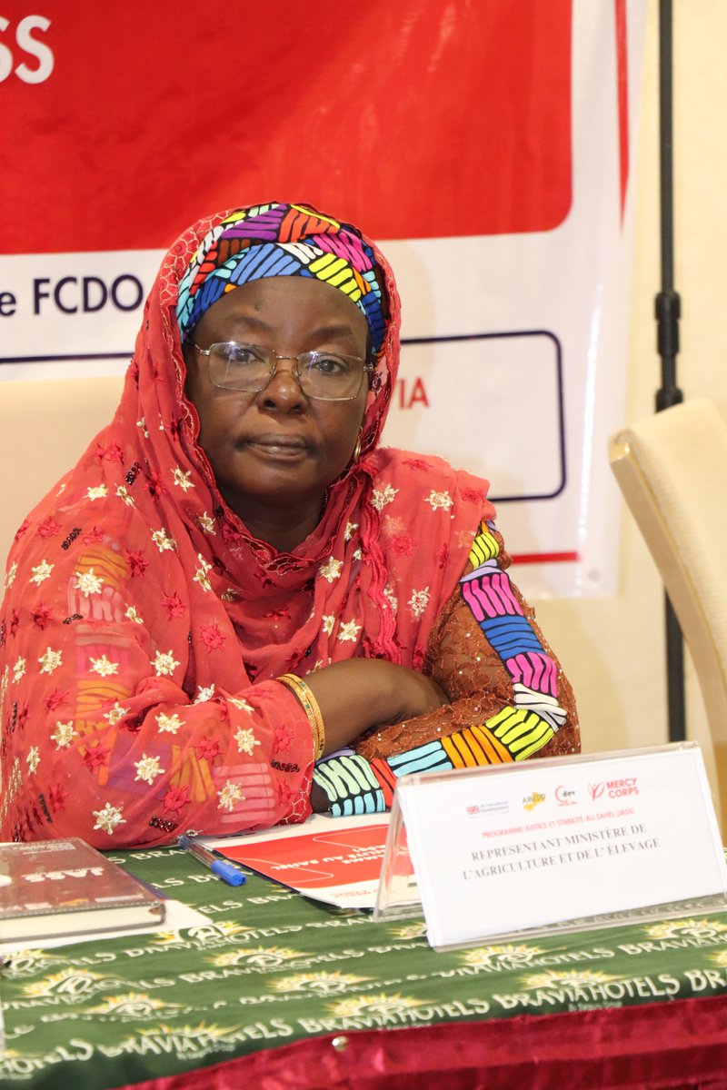 Mercy Corps-Niger tweet media