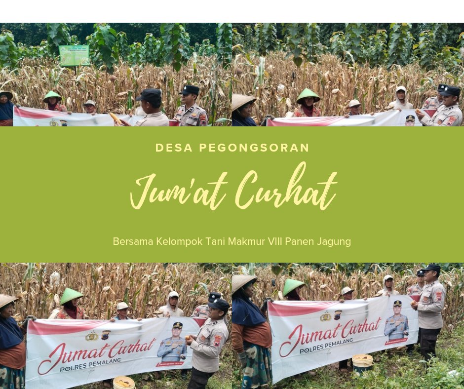 PolsekPml's tweet photo. Jumat curhat bersama kelompok Tani Makmur VIII Desa Pegongsoran https://t.co/pKBCYwDrFu