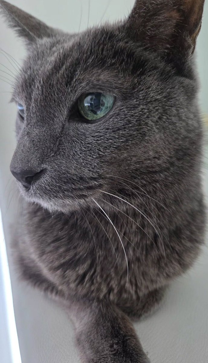 _jungsooheechul's tweet photo. our beloved Heebum 🥺🥺🥺
#HEENIM #HEEBUM https://t.co/5bDEannEWY