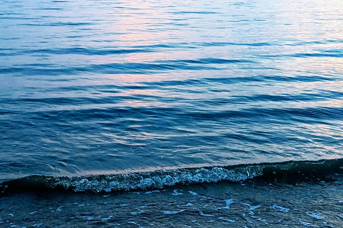 ひとしお (@hitoshio_shio) on Twitter photo 