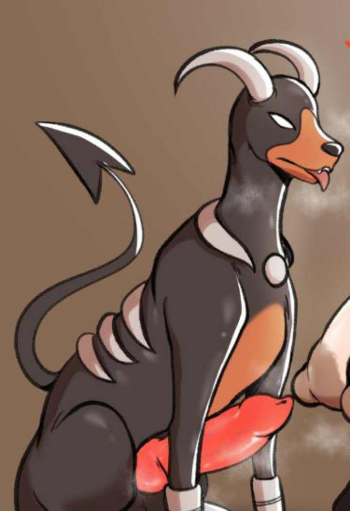 𝐃𝐨𝐠𝐠𝐲 𝐇𝐨𝐮𝐧𝐝𝐨𝐨𝐦 tweet media